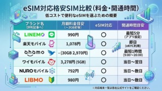 eSIM対応の格安SIMを比較|料金・開通時間・対応端末一覧